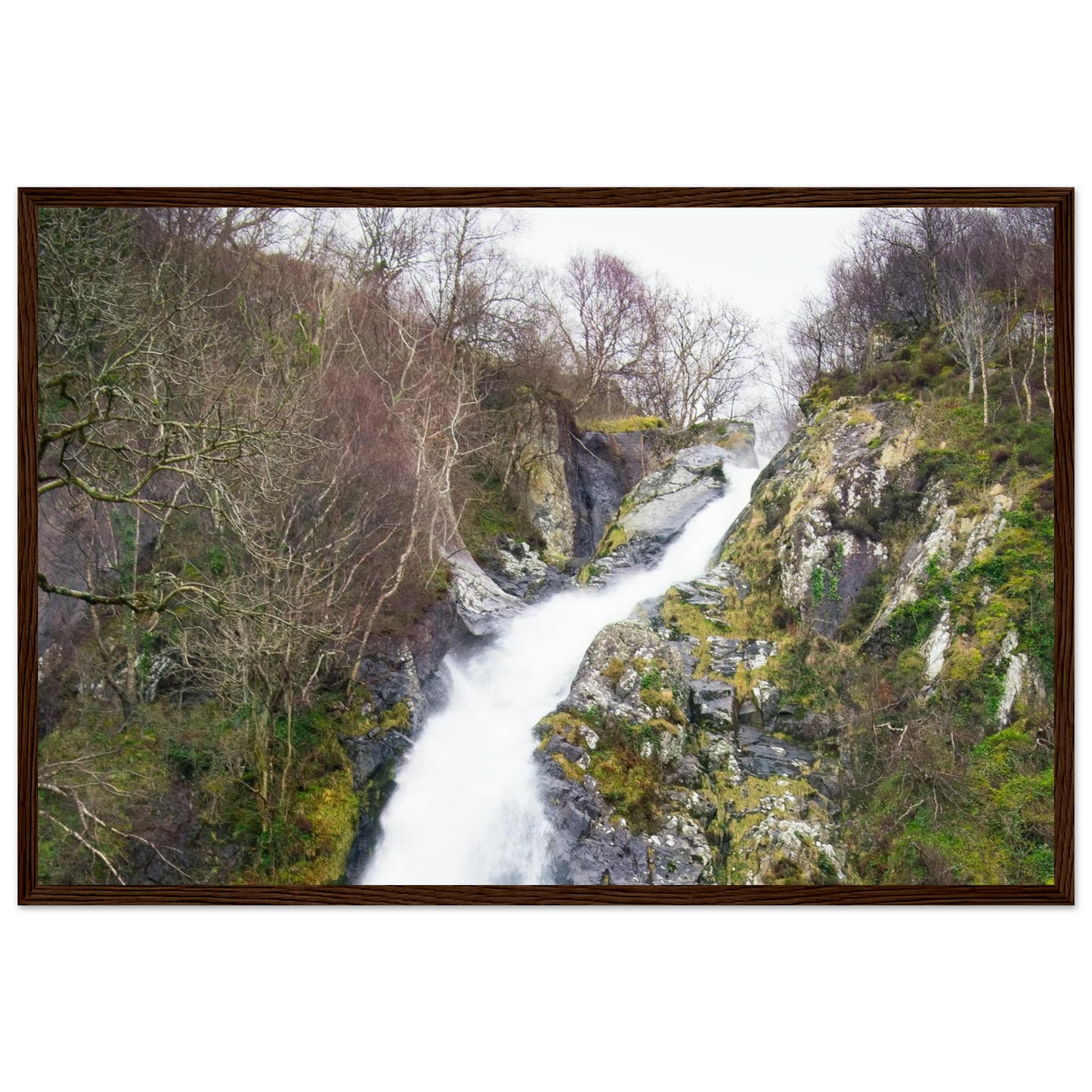 74429f7f-d6bb-4a24-8769-54716f31579d