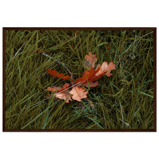 f9052273-cec8-4dc2-a644-74c8d056f181