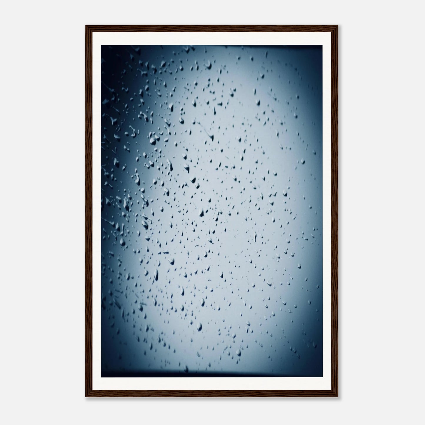 09c7baba-388a-4983-9381-be8d88dae59b