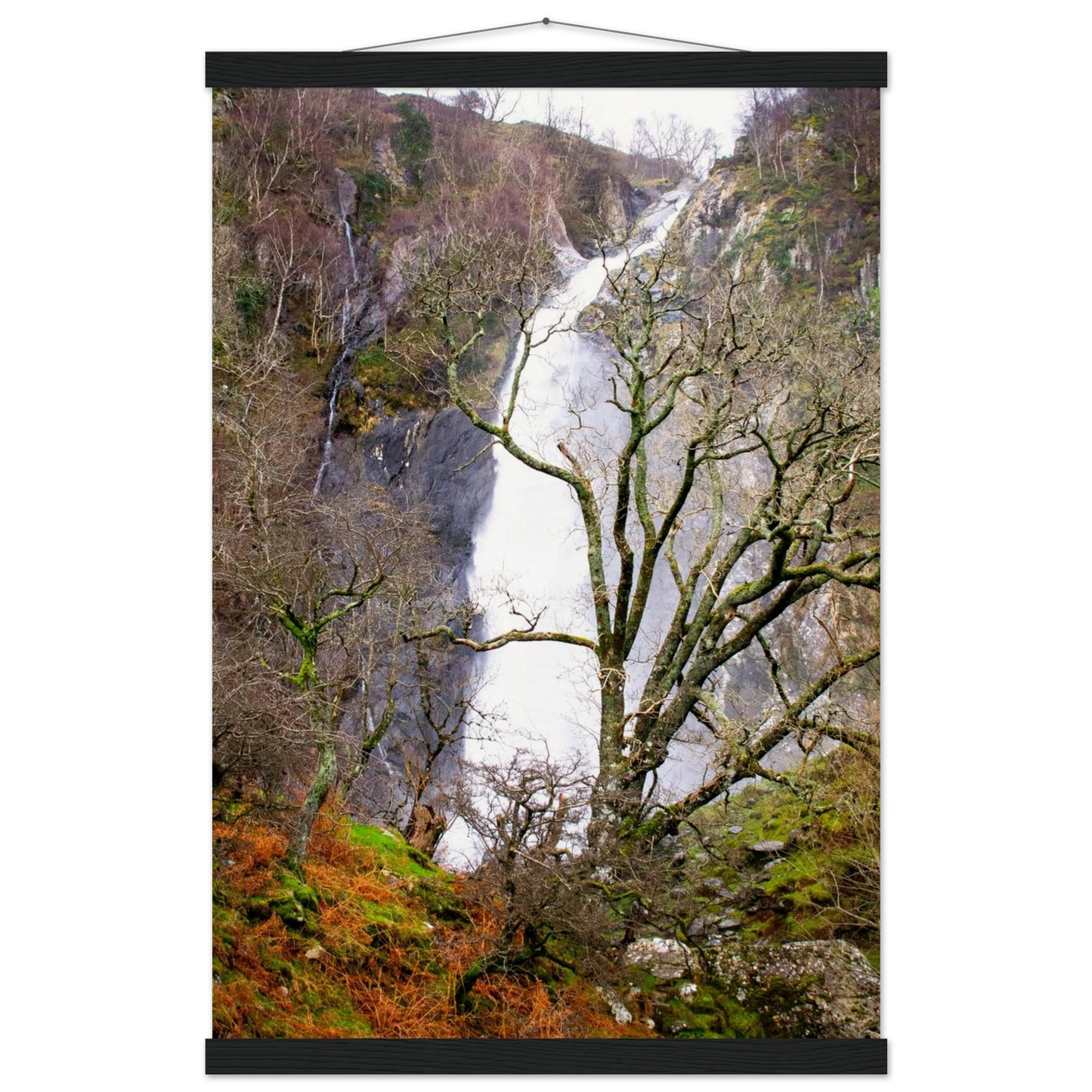 17b8e928-5c89-4a40-9a99-b18a62845833