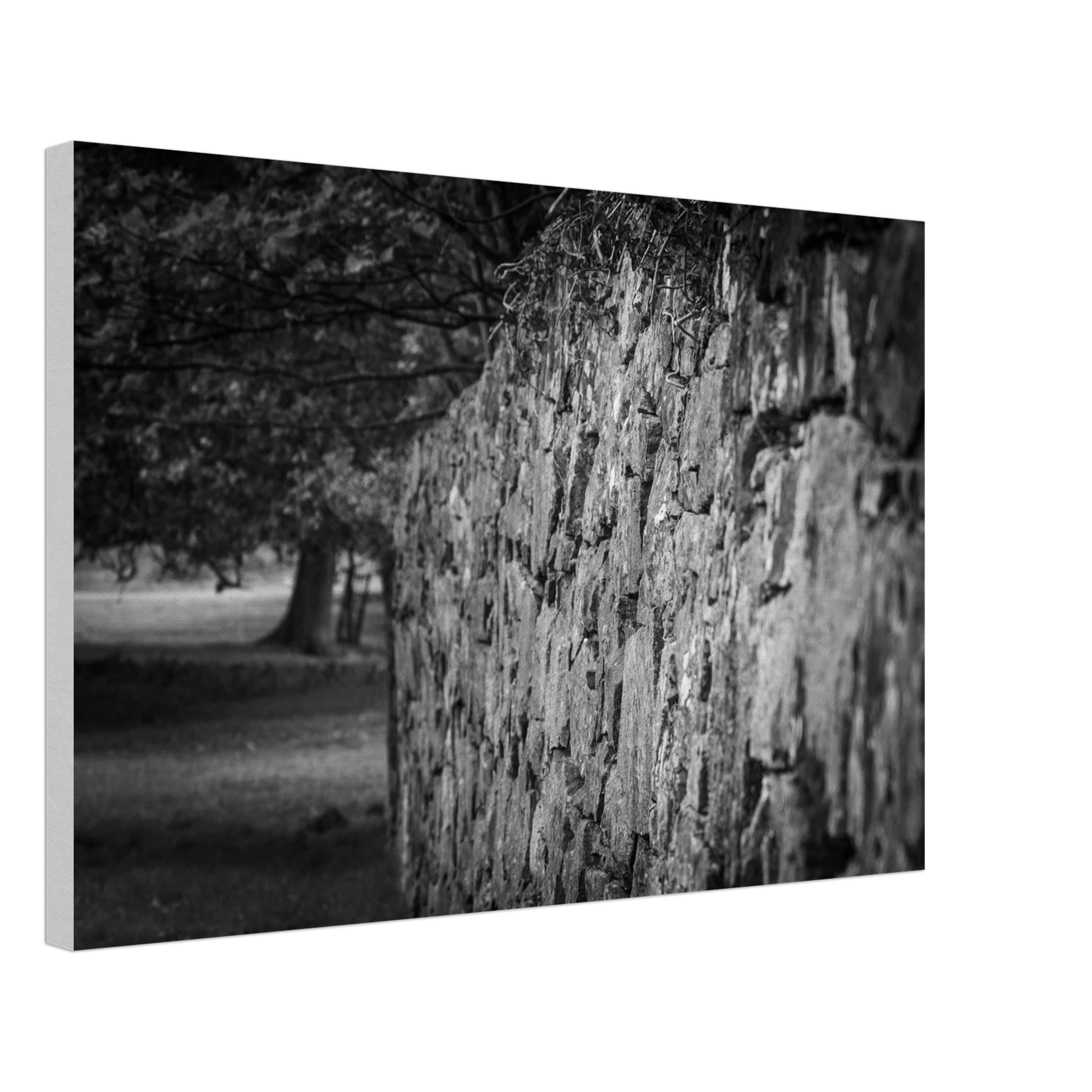 1c7045b1-c27a-45bc-ba8f-14d578c038c5