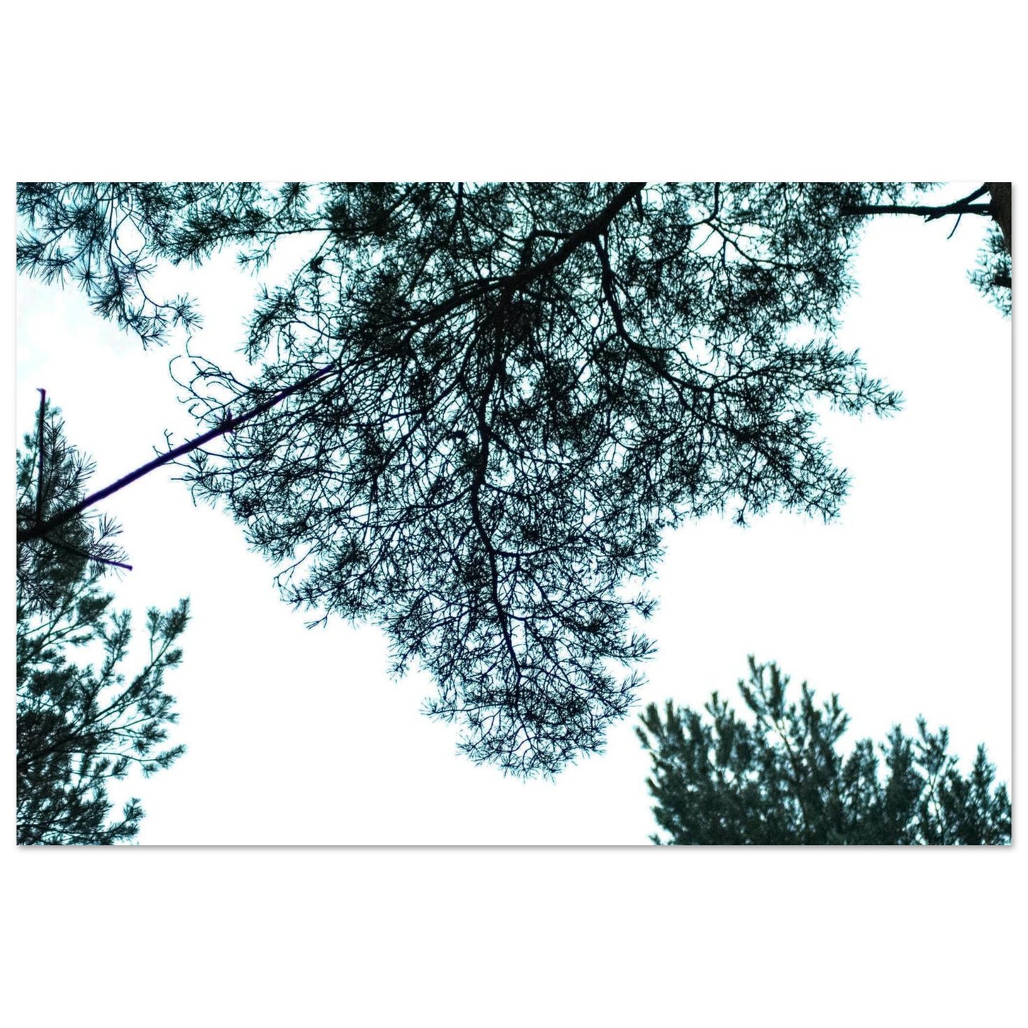 1f53f72f-7e9c-450d-b023-85767227e584