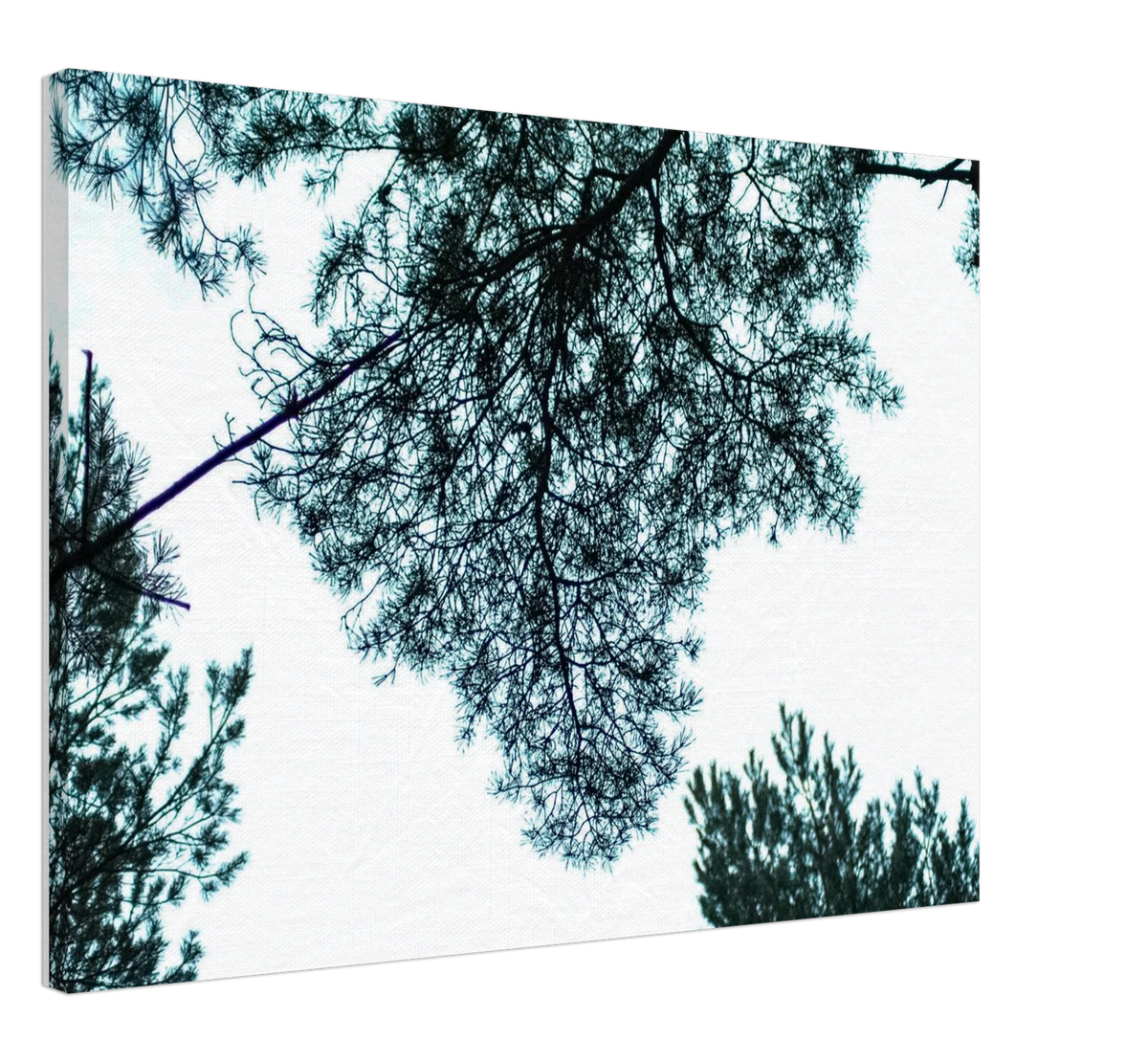 Sky Silhouette, shown at an angle to give a sense of depth and scale