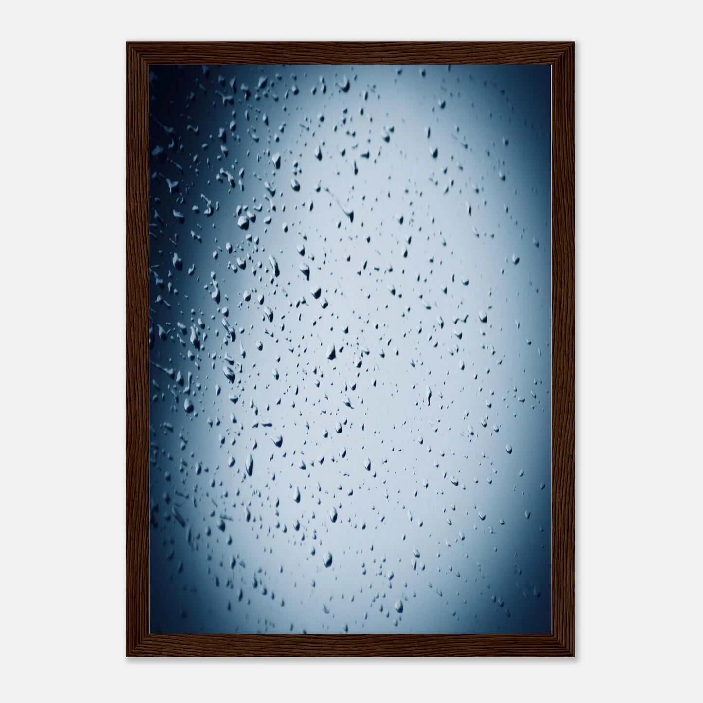 2a23ab20-af24-4ffd-b581-0449e898d1f4