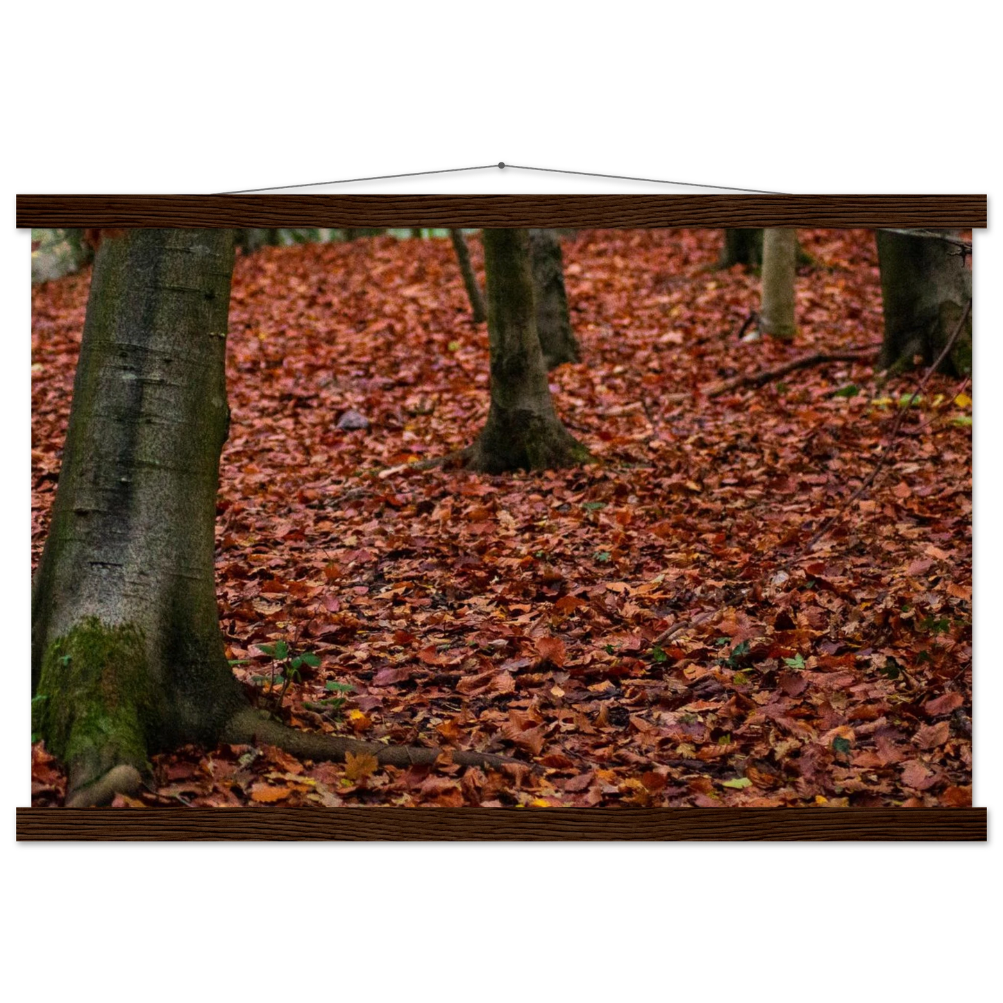 2a28baa5-984a-4f0a-ae4e-f892fb2904c5