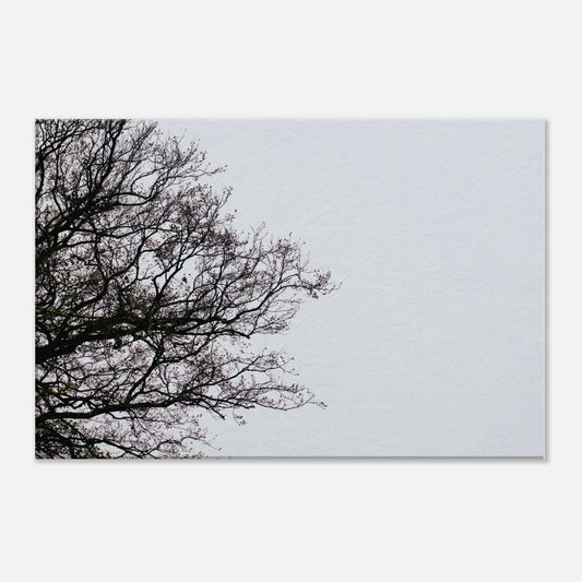 2abb9016-a8b6-4c78-84aa-ef88d5074798