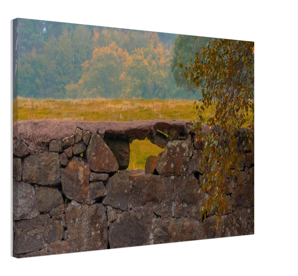 Hawarden Walls, shown at an angle to give a sense of depth and scale