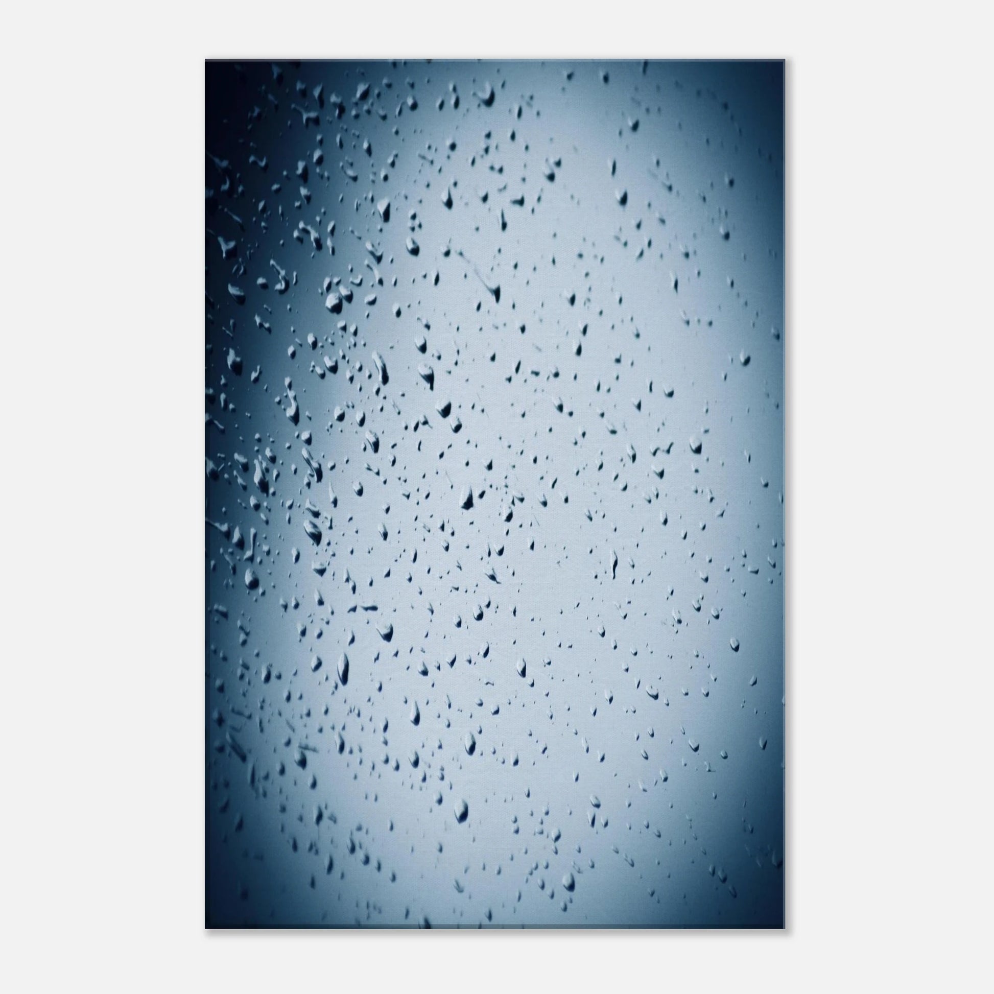 42345283-e8ed-4bec-aa38-d02c03f08c49