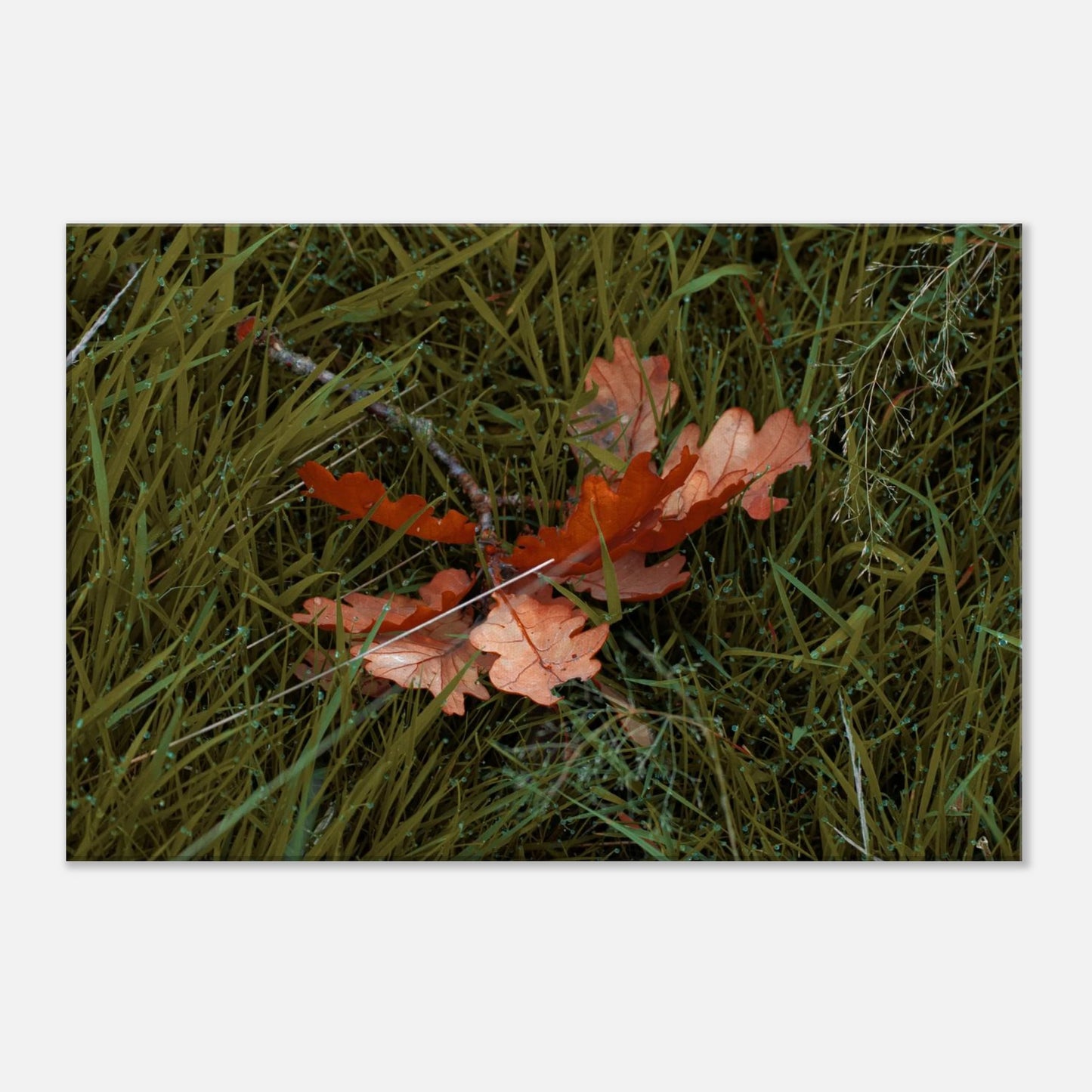 4546acbc-536a-4e08-aa8d-0349d74baf82