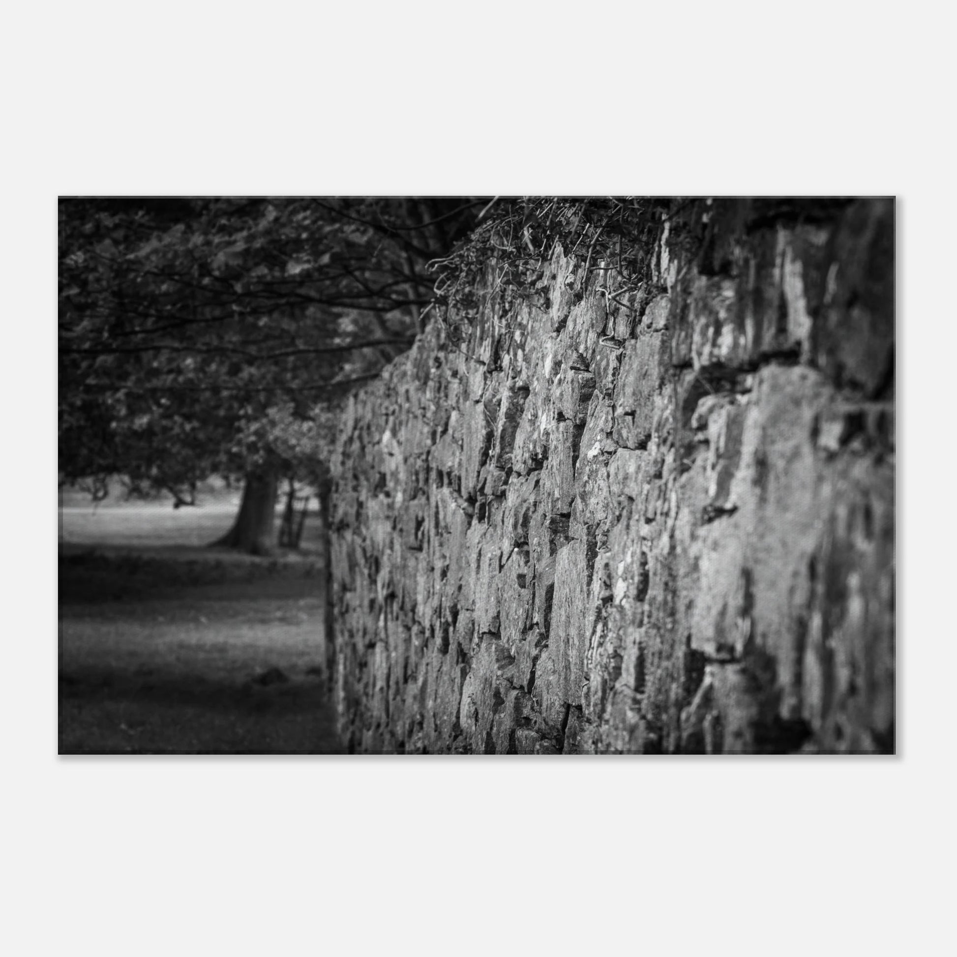 4ebee861-5169-4a93-9414-409b94ecbff9