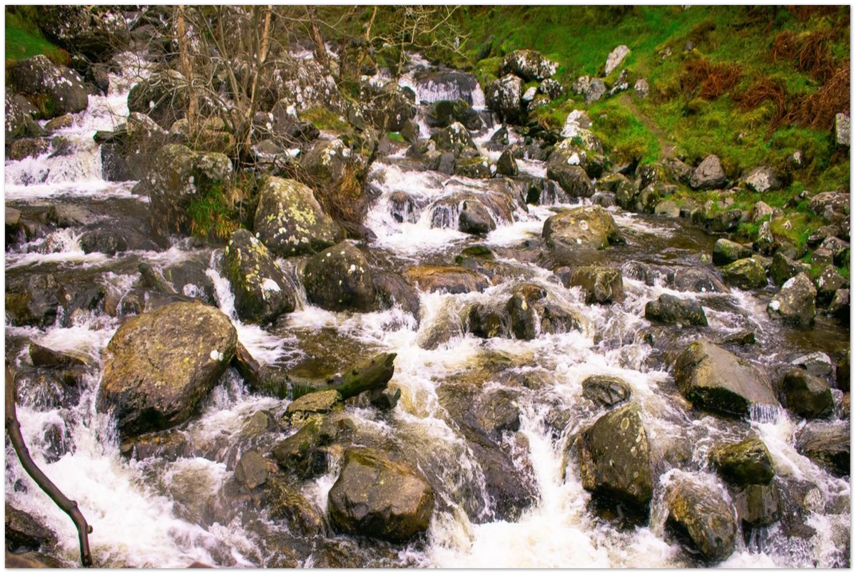 Rocky Brook, close-up detail of the print showing paper texture and colour