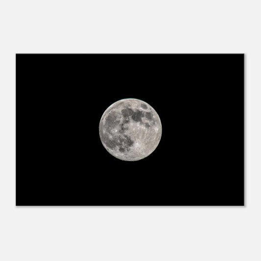 50d456ed-8754-4cb4-abfc-ca8fee3afe7c
