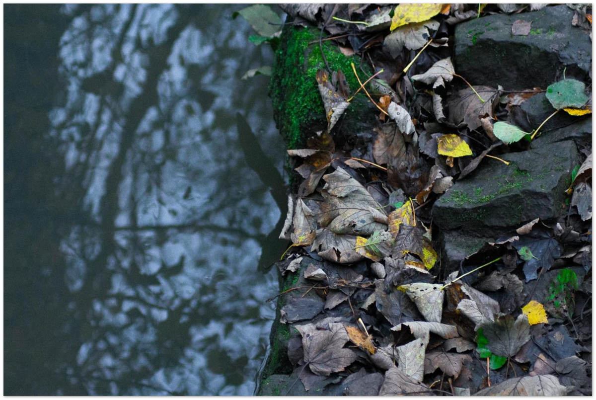 Reflection, close-up detail of the print showing paper texture and colour