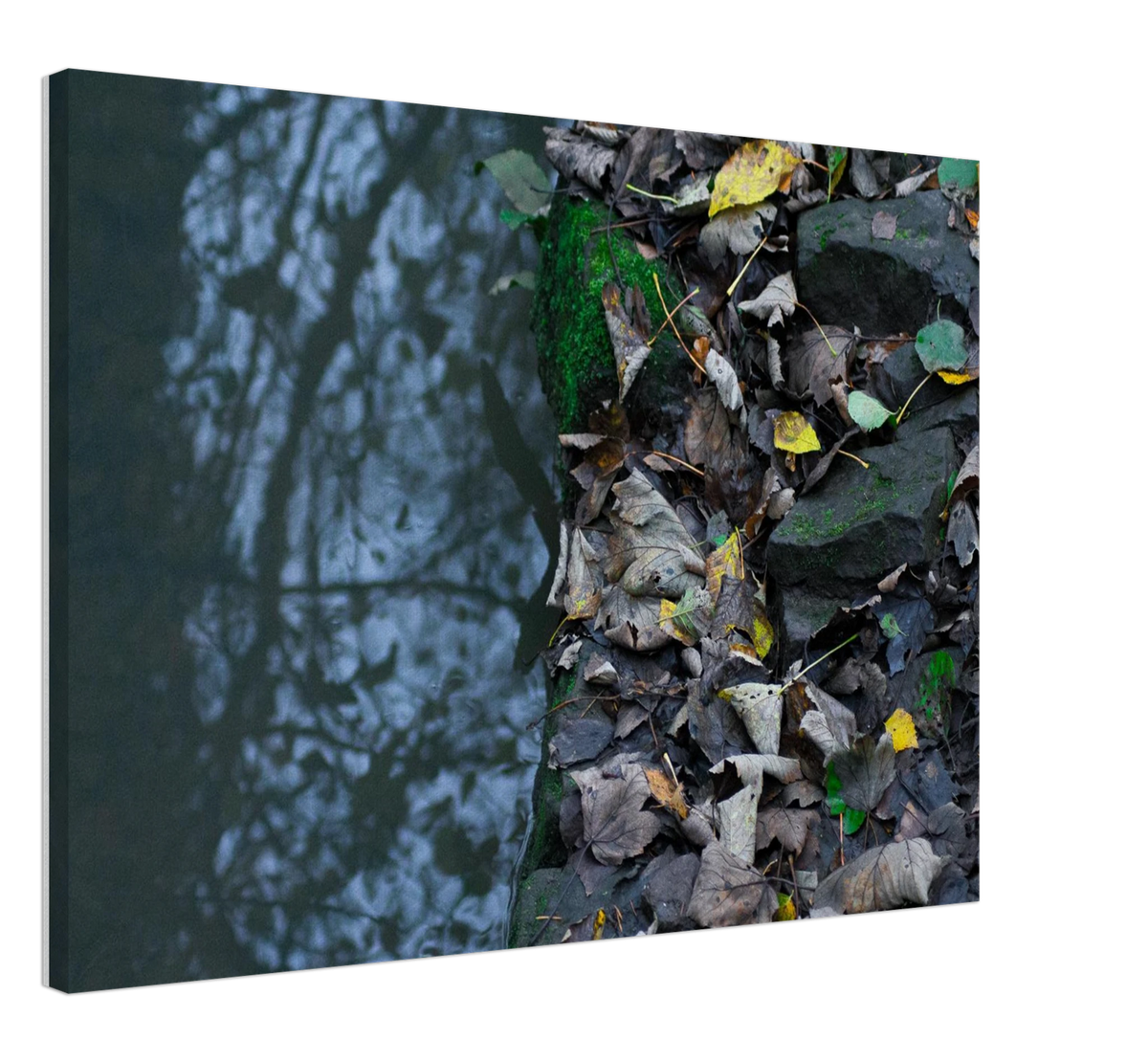 Reflection, shown at an angle to give a sense of depth and scale