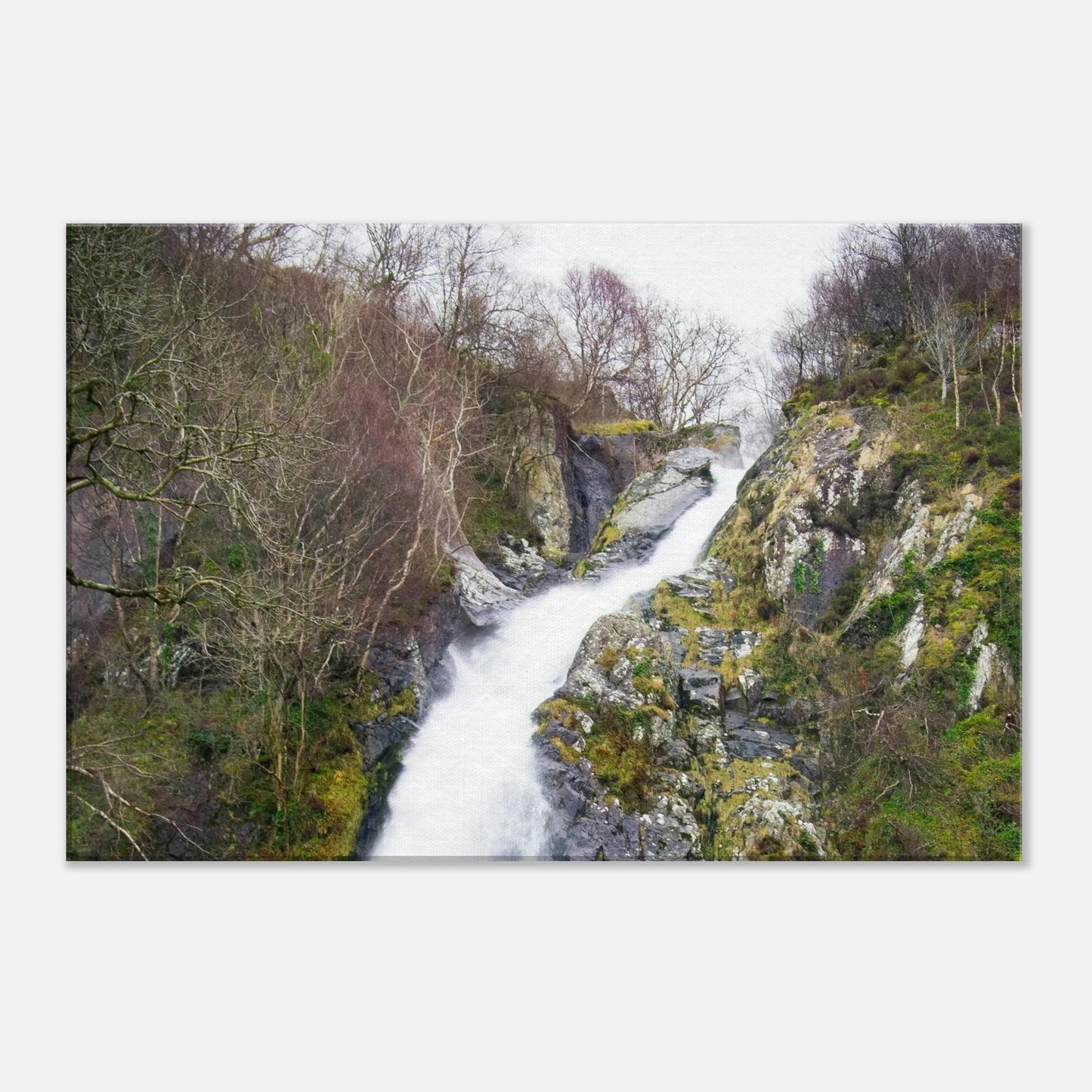 5ac19fc5-f18c-4f4e-ae1c-359600586f30