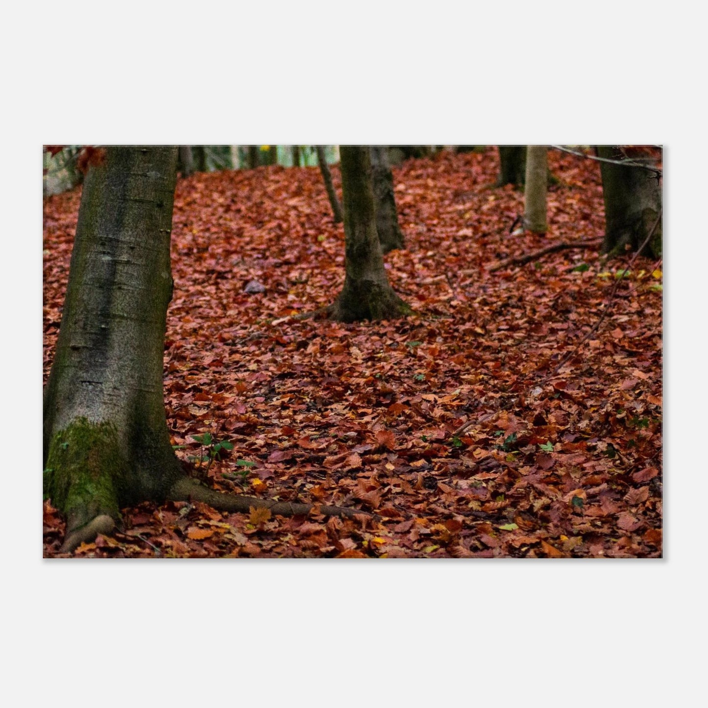 6967c9e1-ea7f-44f2-ae9d-c1d1a678acc1