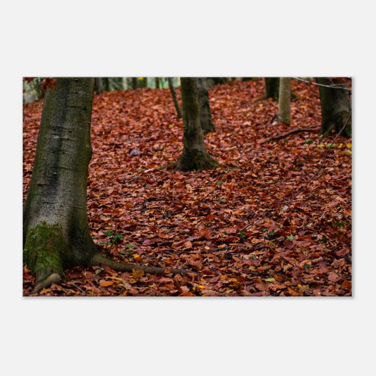 6967c9e1-ea7f-44f2-ae9d-c1d1a678acc1