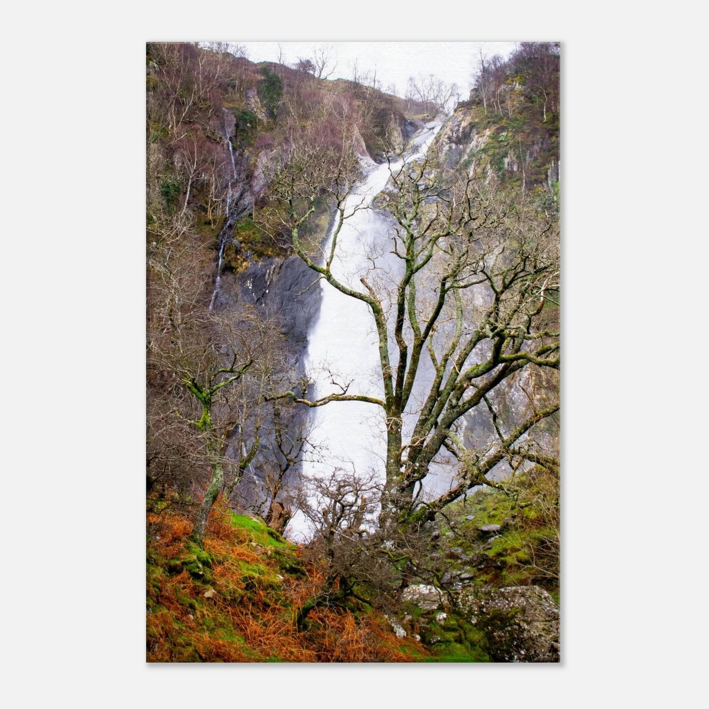 6f5e5a27-5fa5-4b37-baba-73c785765192