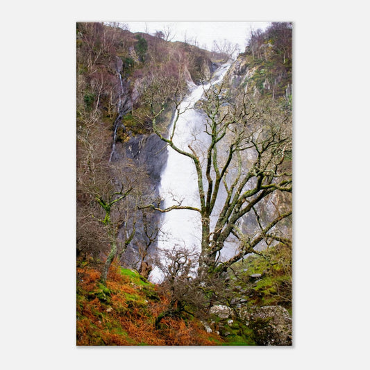 6f5e5a27-5fa5-4b37-baba-73c785765192