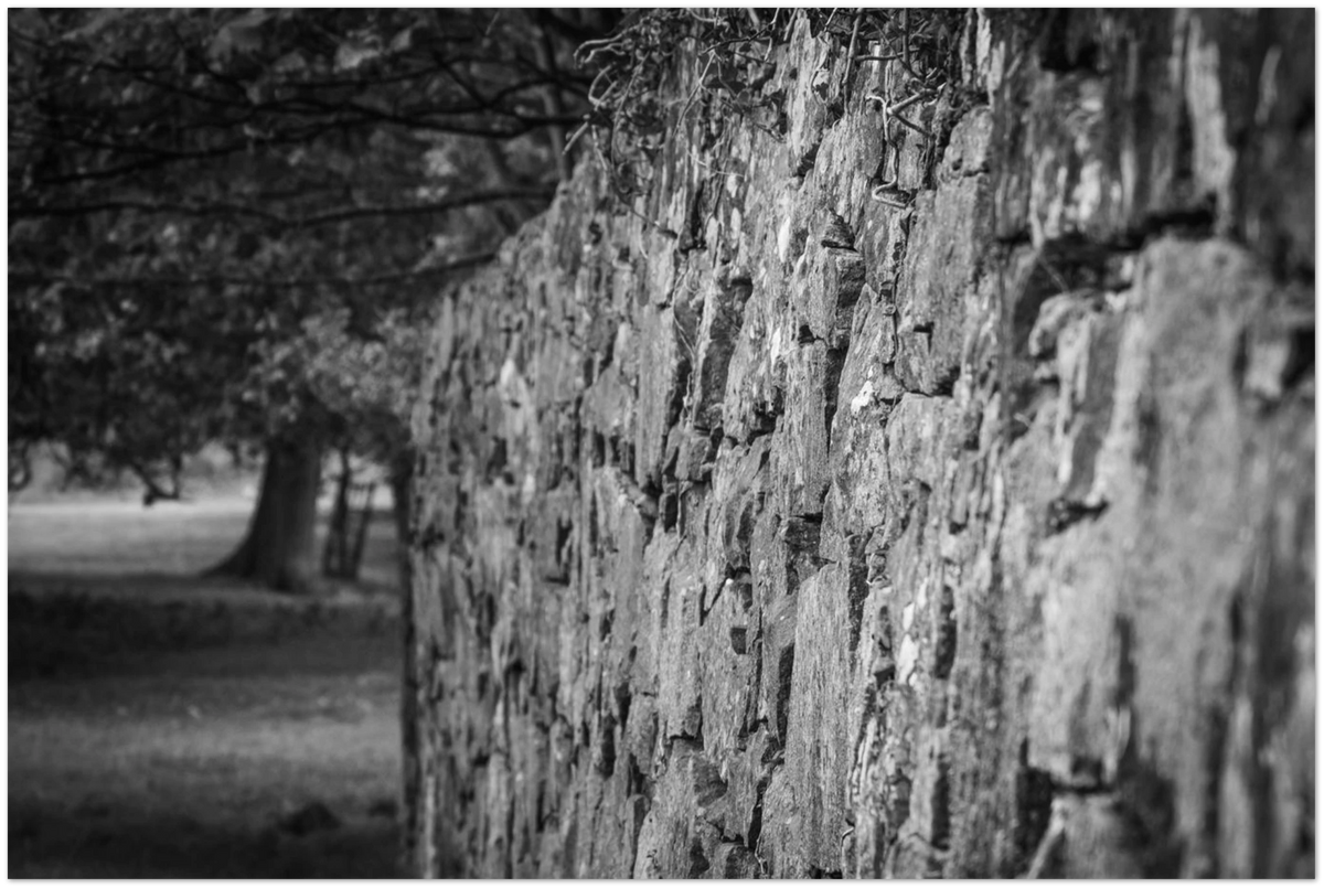 Stonemason Wall, close-up detail of the print showing paper texture and colour