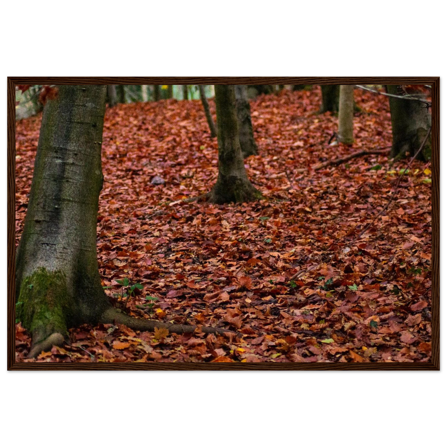 863f6113-097a-4cf1-b943-66a221d2c75d