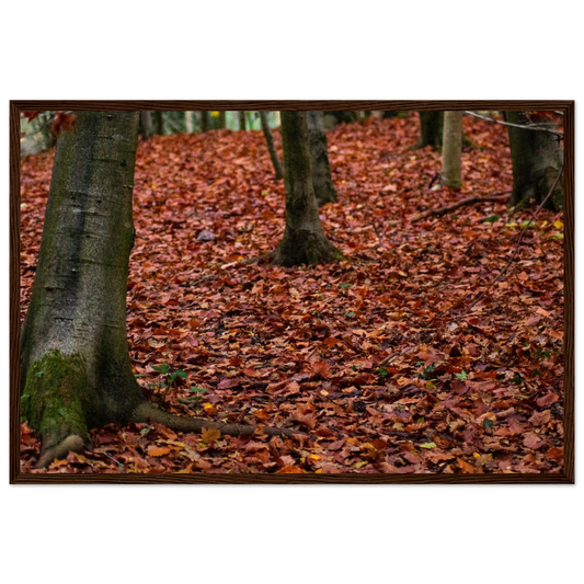 863f6113-097a-4cf1-b943-66a221d2c75d