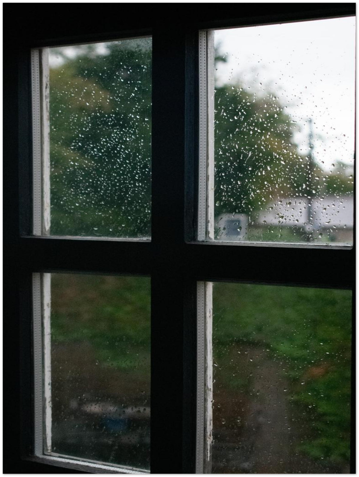 Rainy Windows, shown at an angle to give a sense of depth and scale