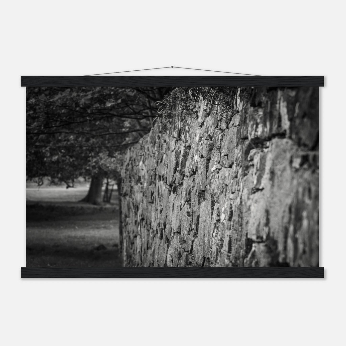 956f3ff2-ed1f-4e45-aad8-92aa479c1a29