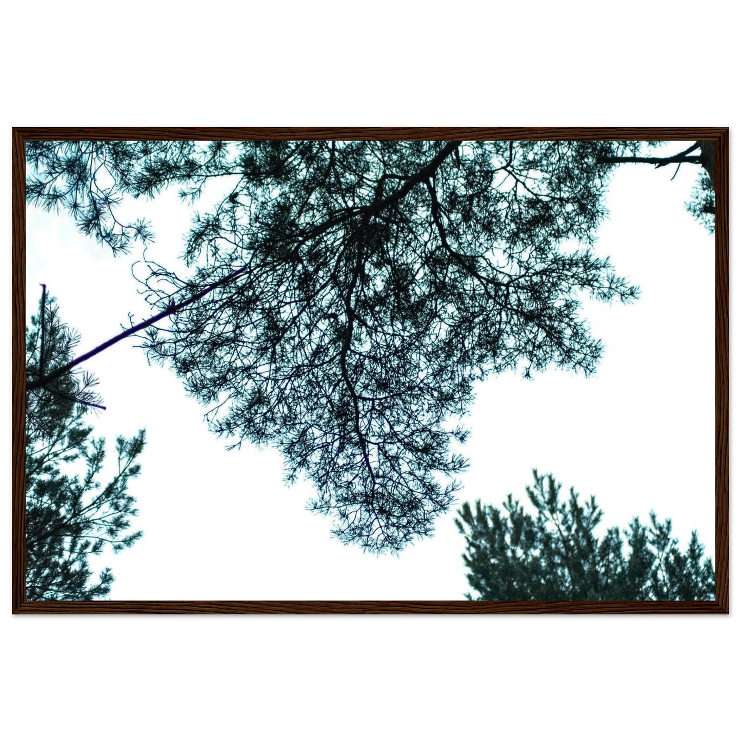 9eff18f2-0e71-490e-b88b-95139a073772