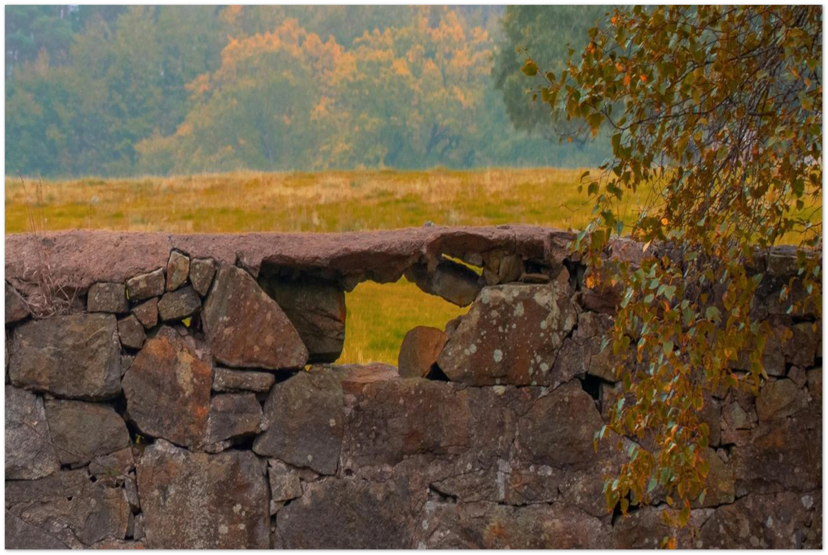 Hawarden Walls, close-up detail of the print showing paper texture and colour