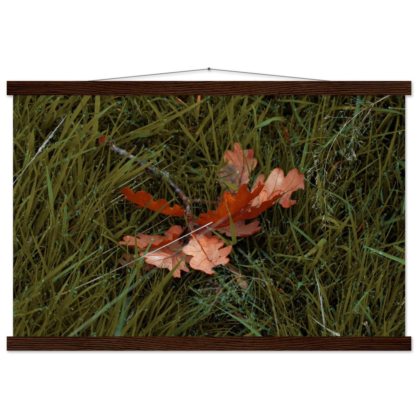 a3c2fe14-7272-43dc-abd5-1372cb016aa1