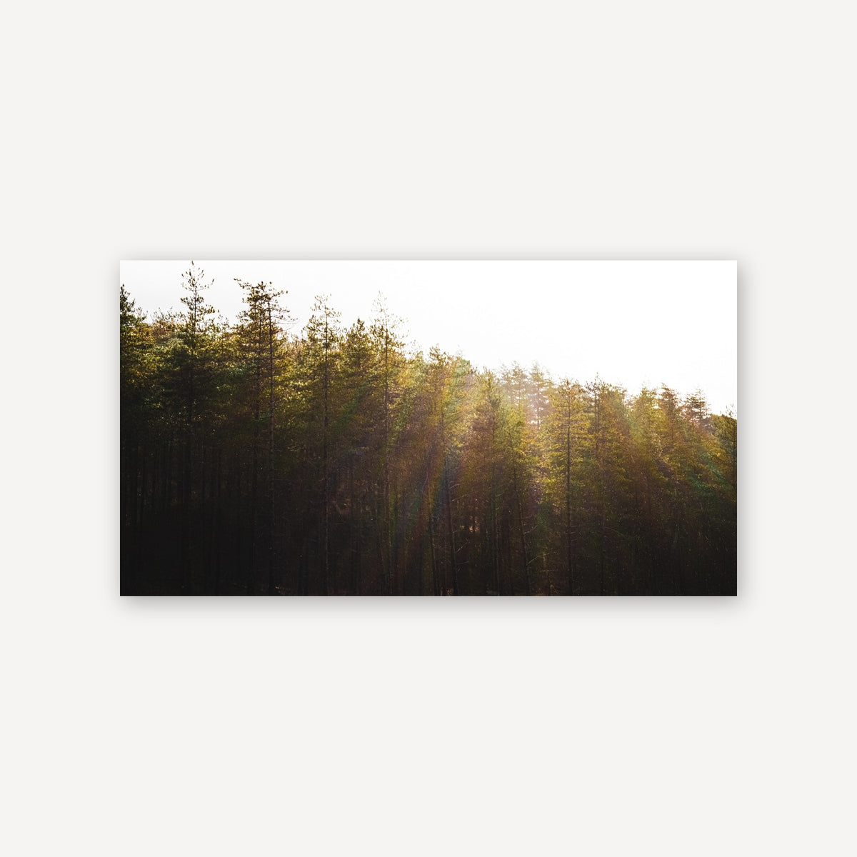Newborough Light — canvas print