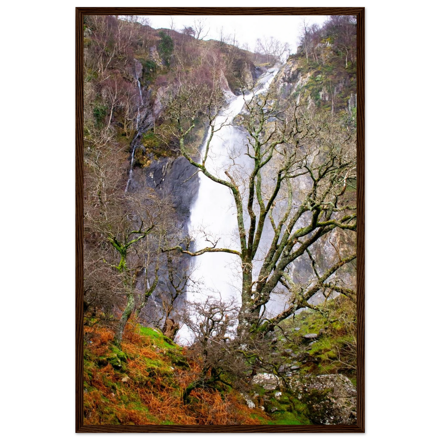 b5256e25-c2c6-4b75-abed-4170a7d1511b