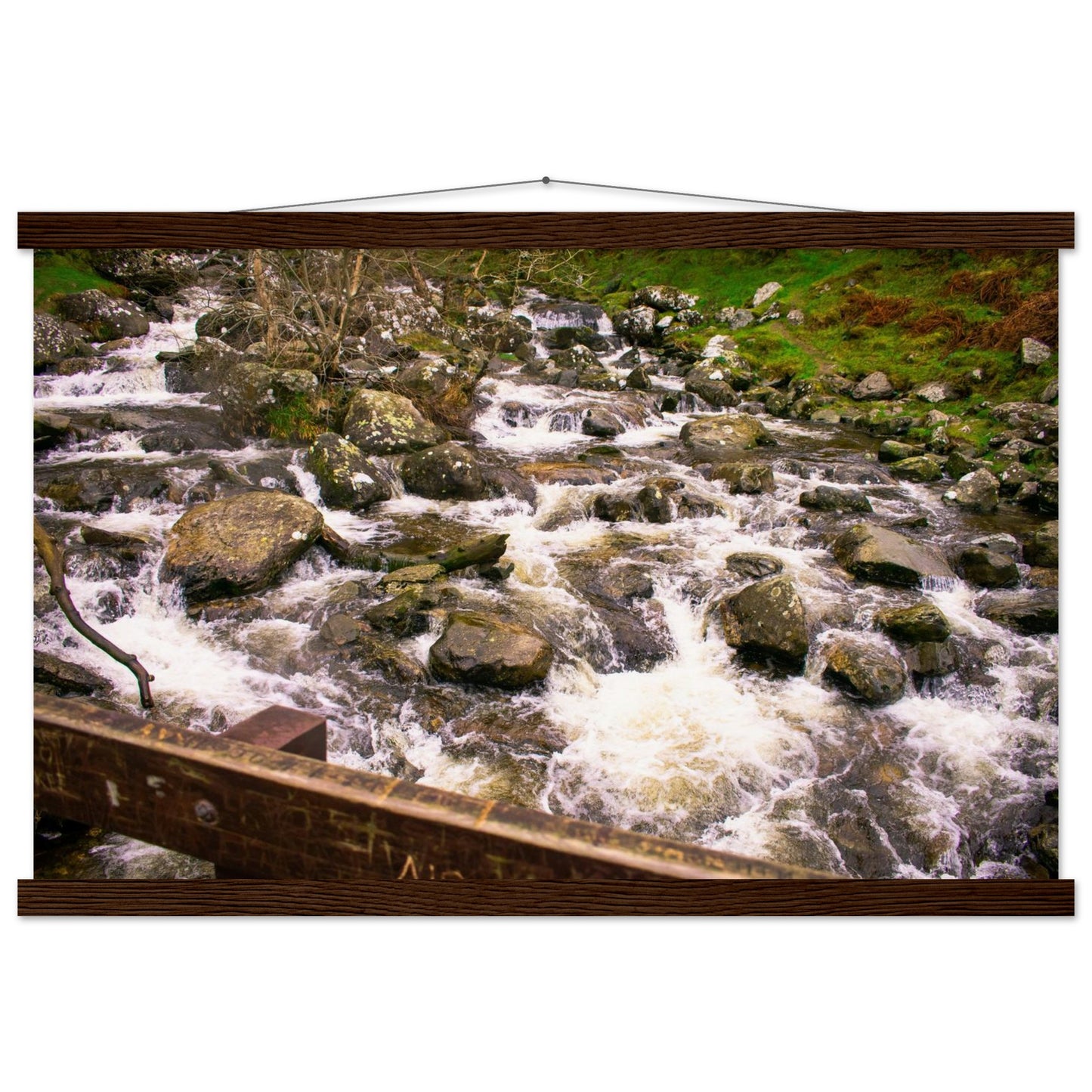 cbaa8f91-3c4a-42f5-96a6-f9297a23b74b