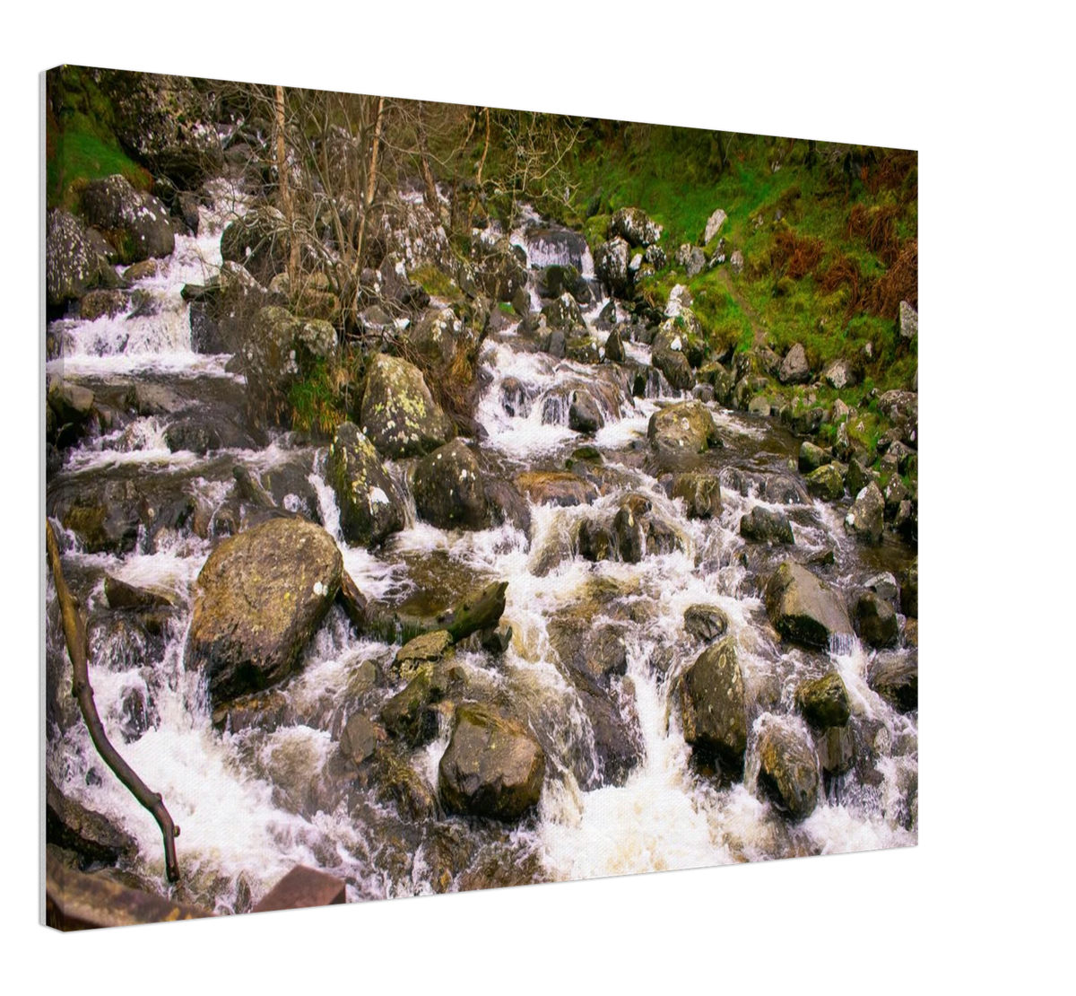 Rocky Brook, shown at an angle to give a sense of depth and scale