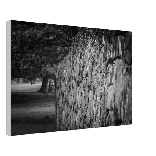 d37fcfc7-b365-4dfd-b92b-3dcc6568a0a3