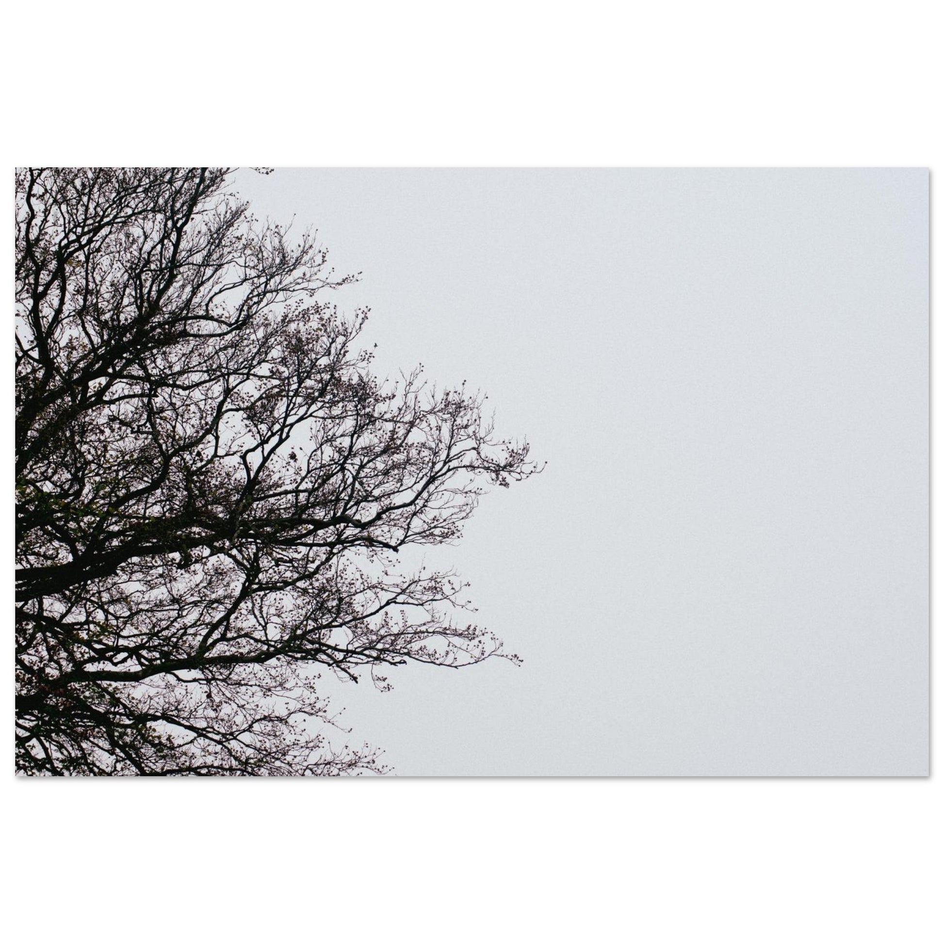 d4d5bda9-af48-4161-a032-39ba4bb5a77d