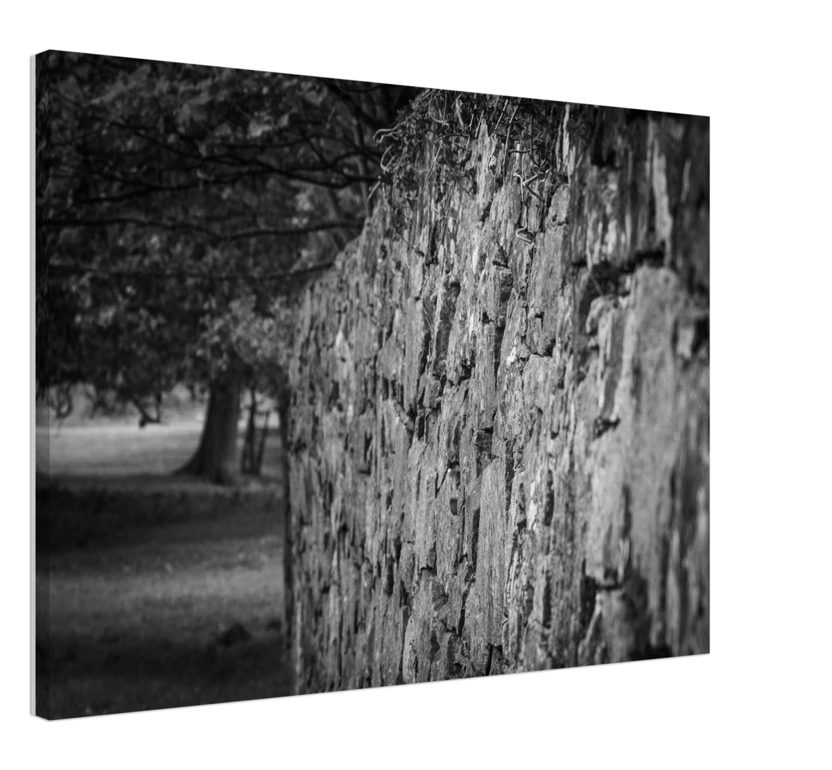 Stonemason Wall, shown at an angle to give a sense of depth and scale