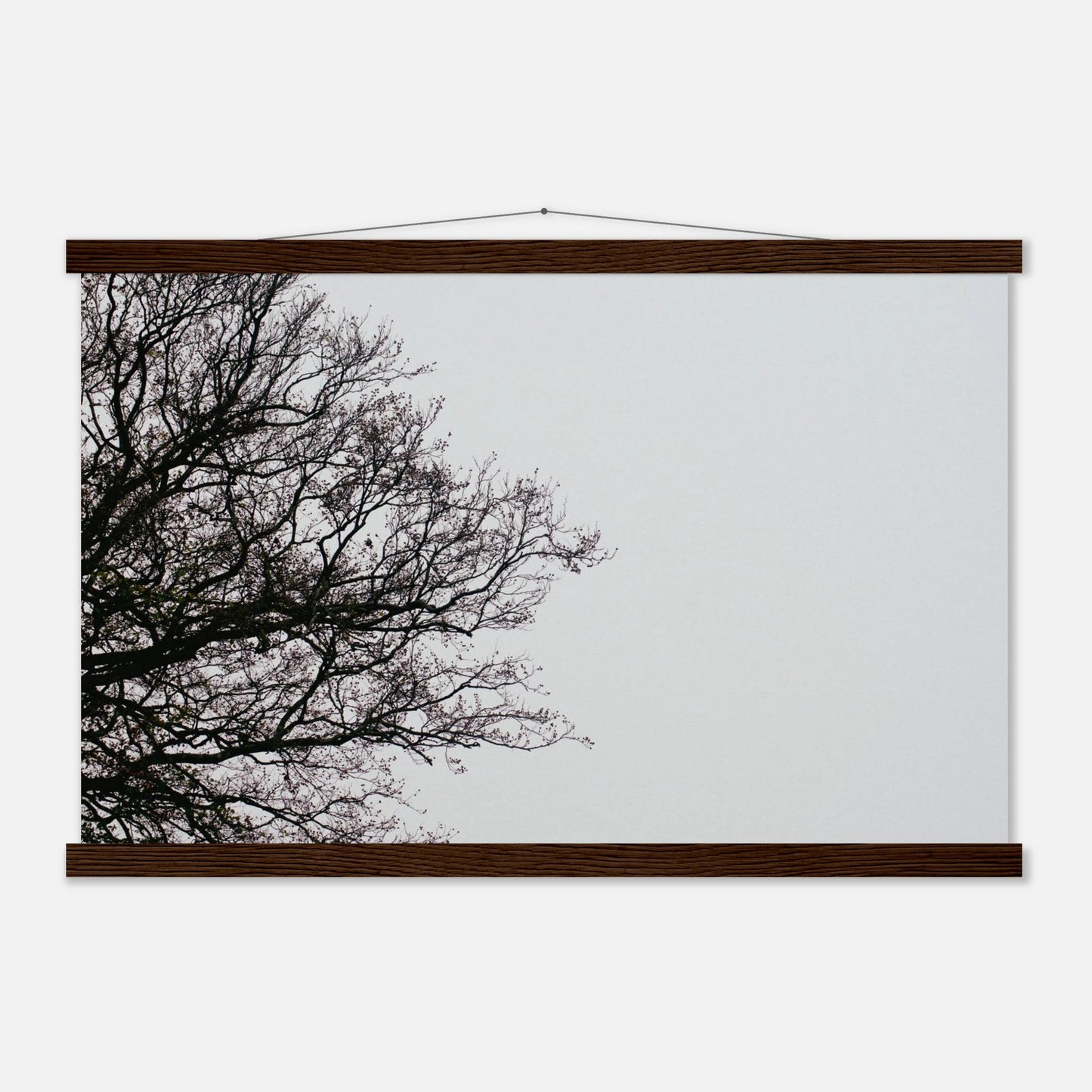 debf80a0-618c-4c21-835a-a9371e3f365d