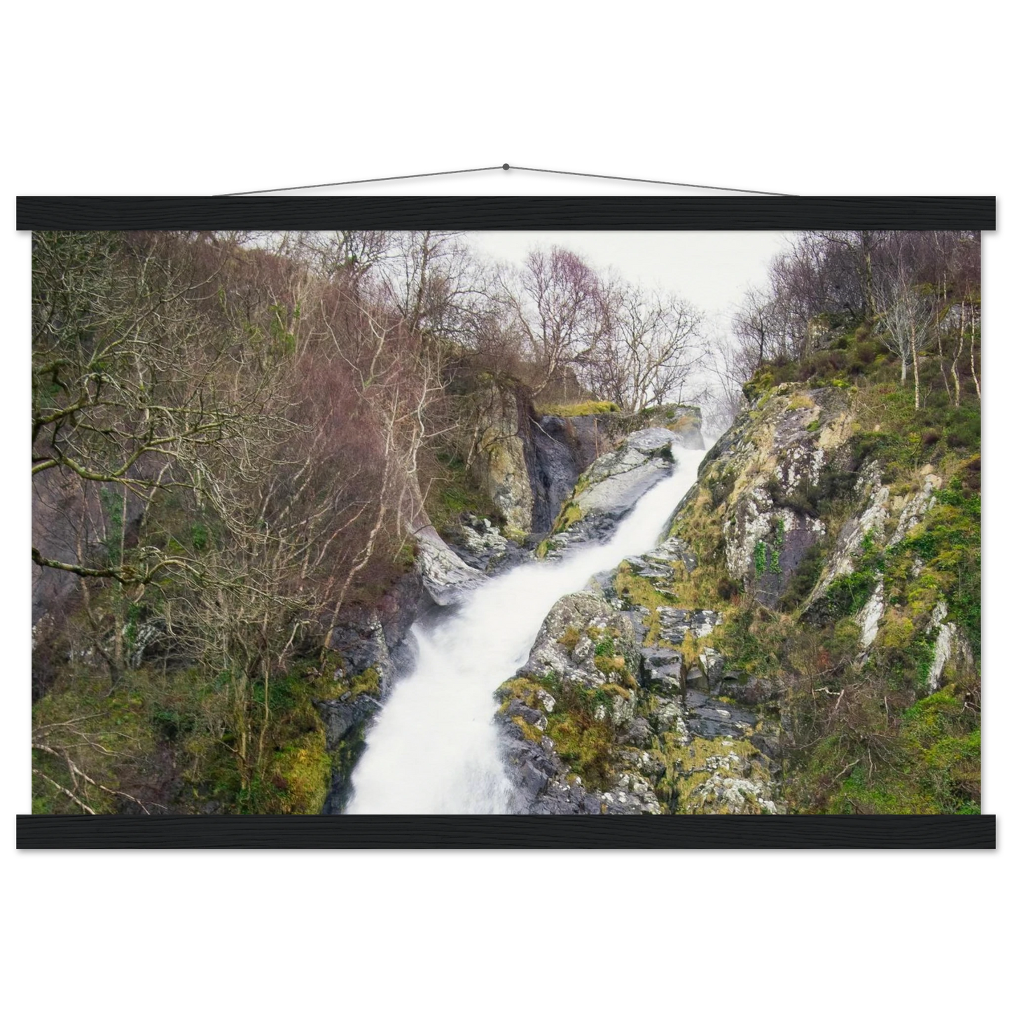 e39ca21a-84c8-43ac-acee-d13b475bb3da