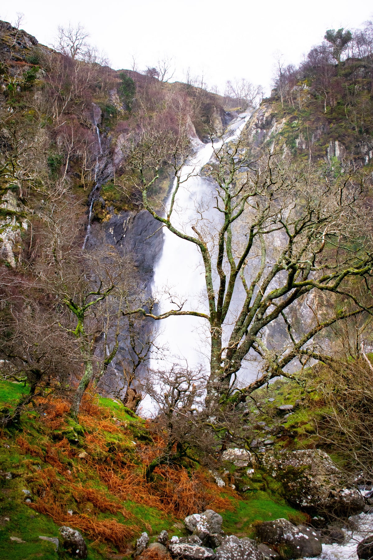 Aberfalls In Autumn, Aber Falls in autumn colour, photographed at Aber Falls in Snowdonia, original fine-art photograph