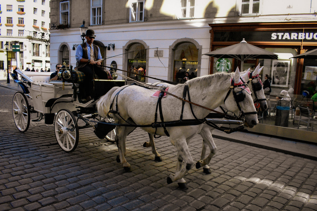 Horse And Cart, A horse and cart on a quiet lane, original fine-art photograph