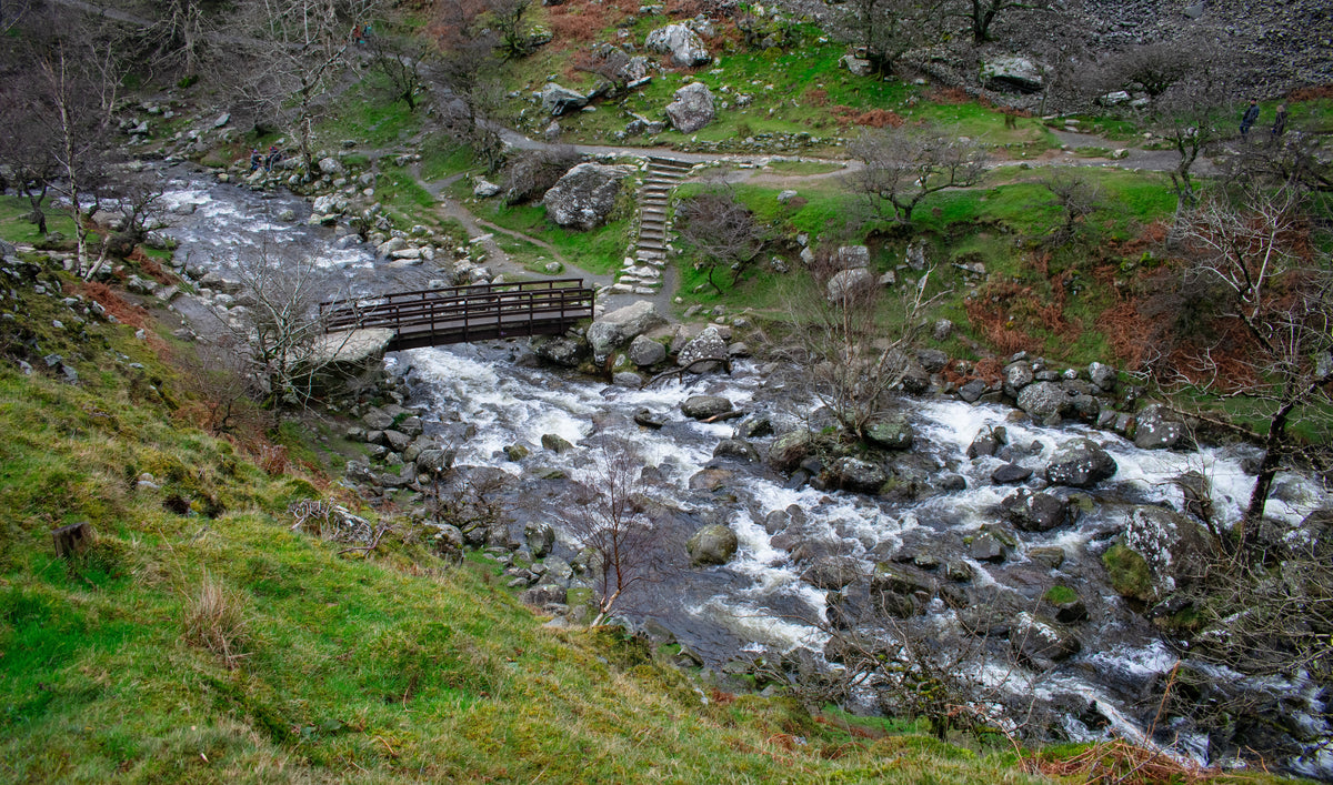 Brook Nook, A hidden mossy stream, photographed in North Wales, original fine-art photograph
