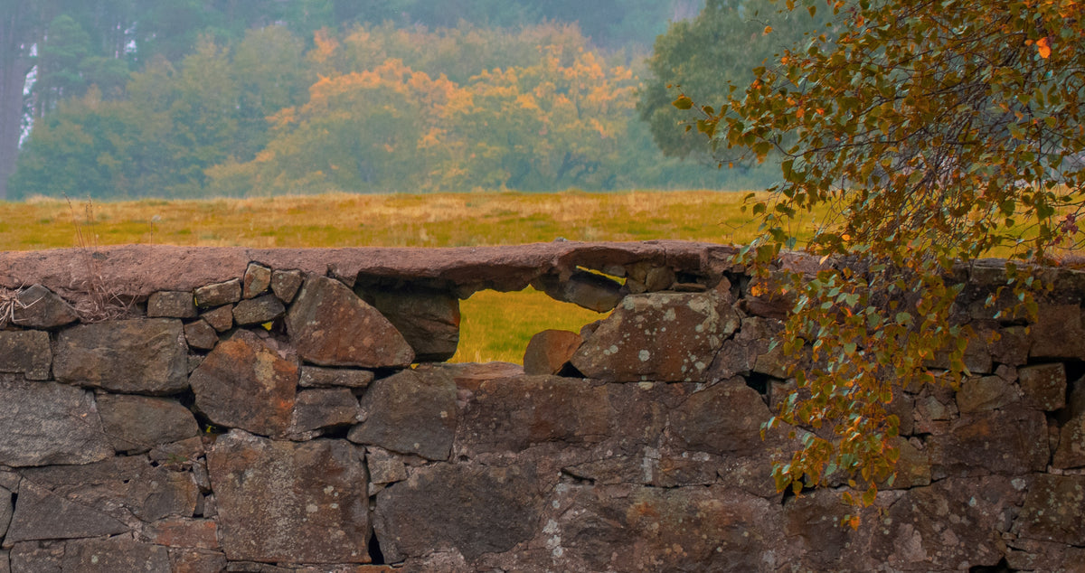Hawarden Walls, Old walls at Hawarden, Flintshire, photographed around Hawarden, Flintshire, original fine-art photograph