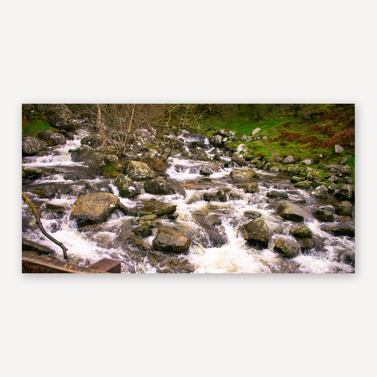 Rocky Brook — canvas print