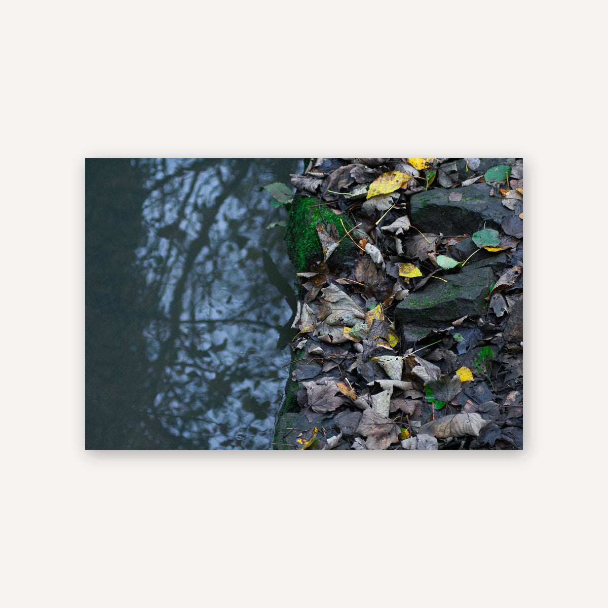 Reflection — canvas print