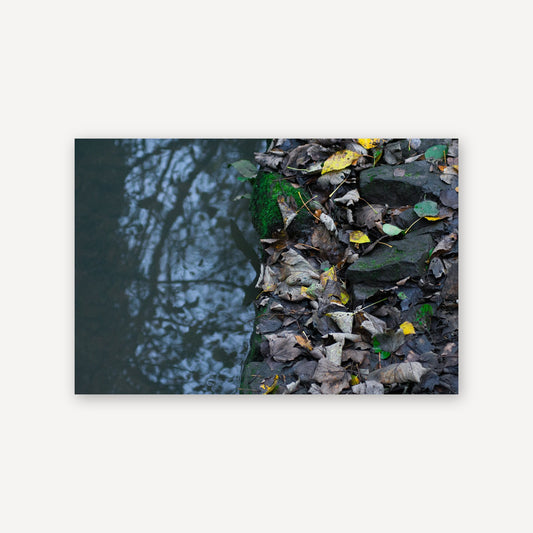 Reflection — canvas print