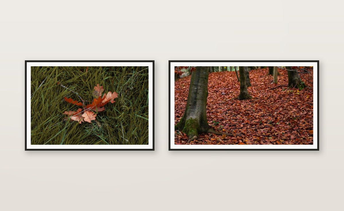 Autumn Leaf — set mockup
