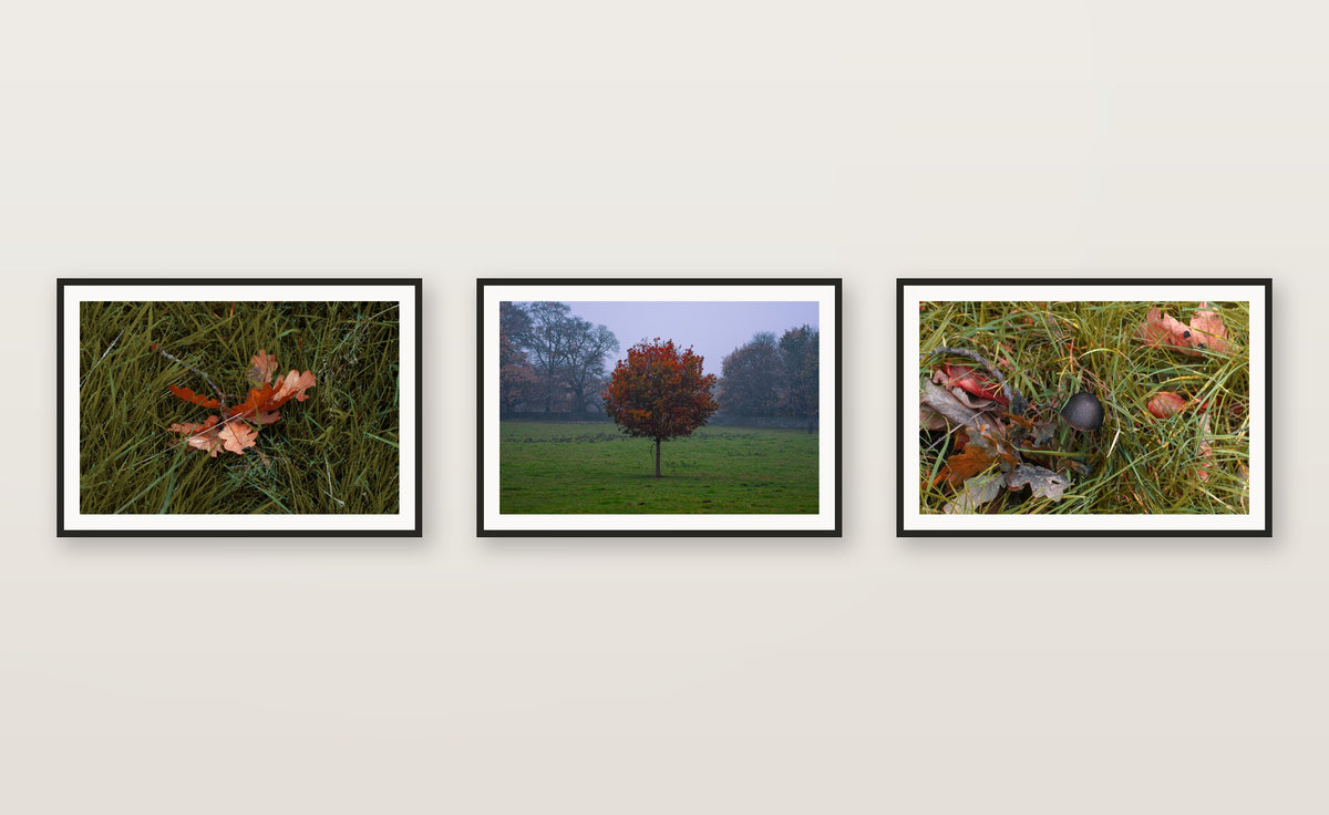 Autumn Leaf, part of a coordinated gallery-wall print set — gallery wall set