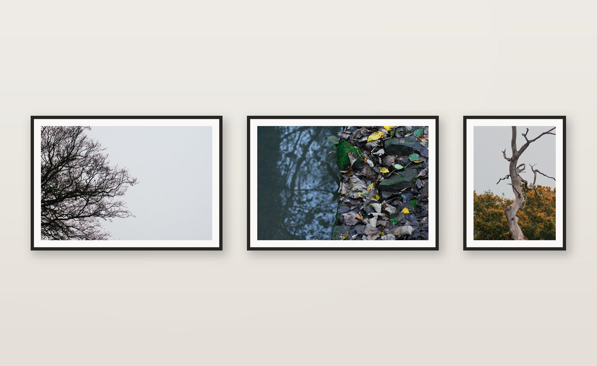 Adjacent Branches, part of a coordinated gallery-wall print set — gallery wall set